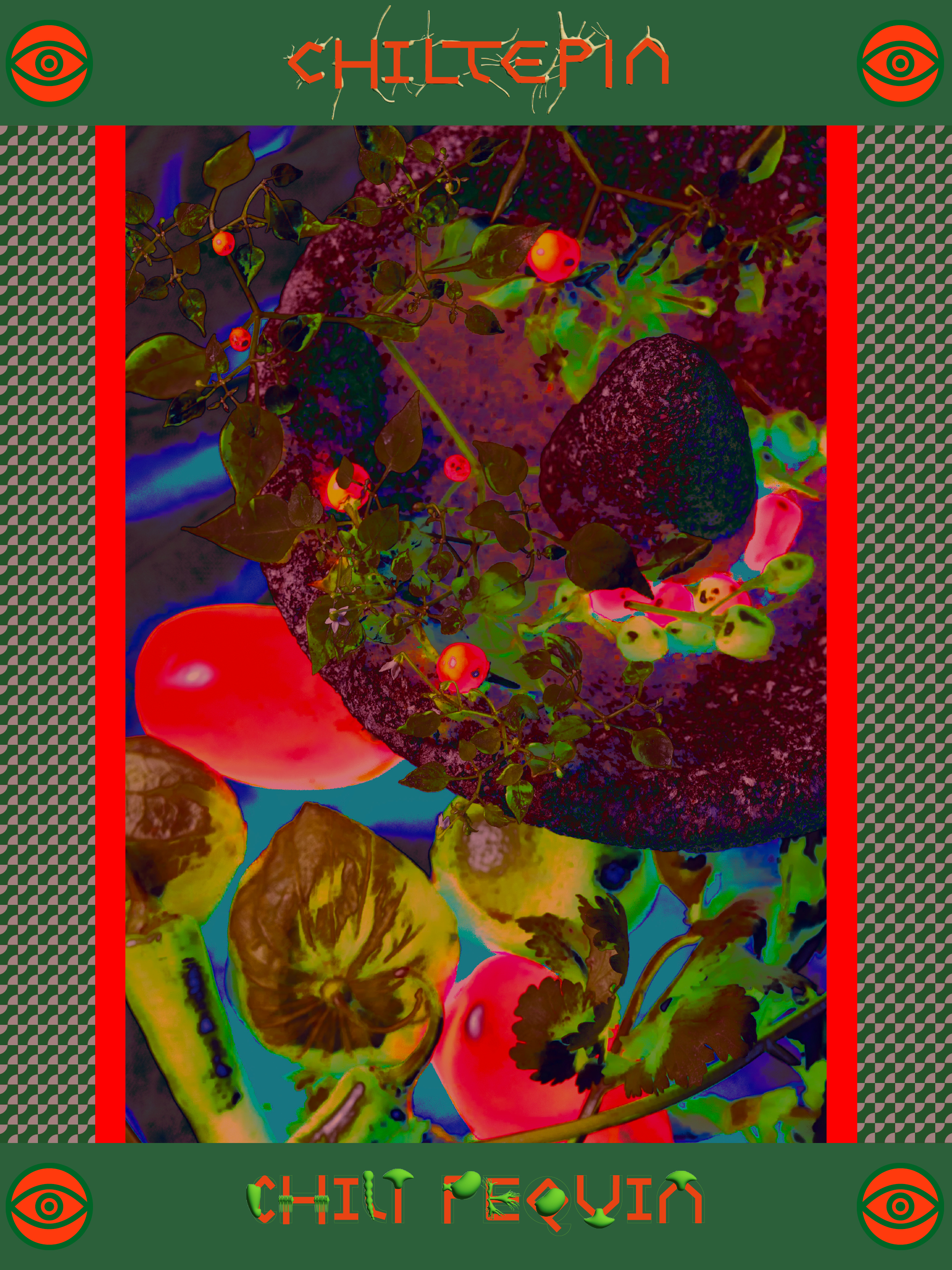 Chiltepin / Chili Pequin