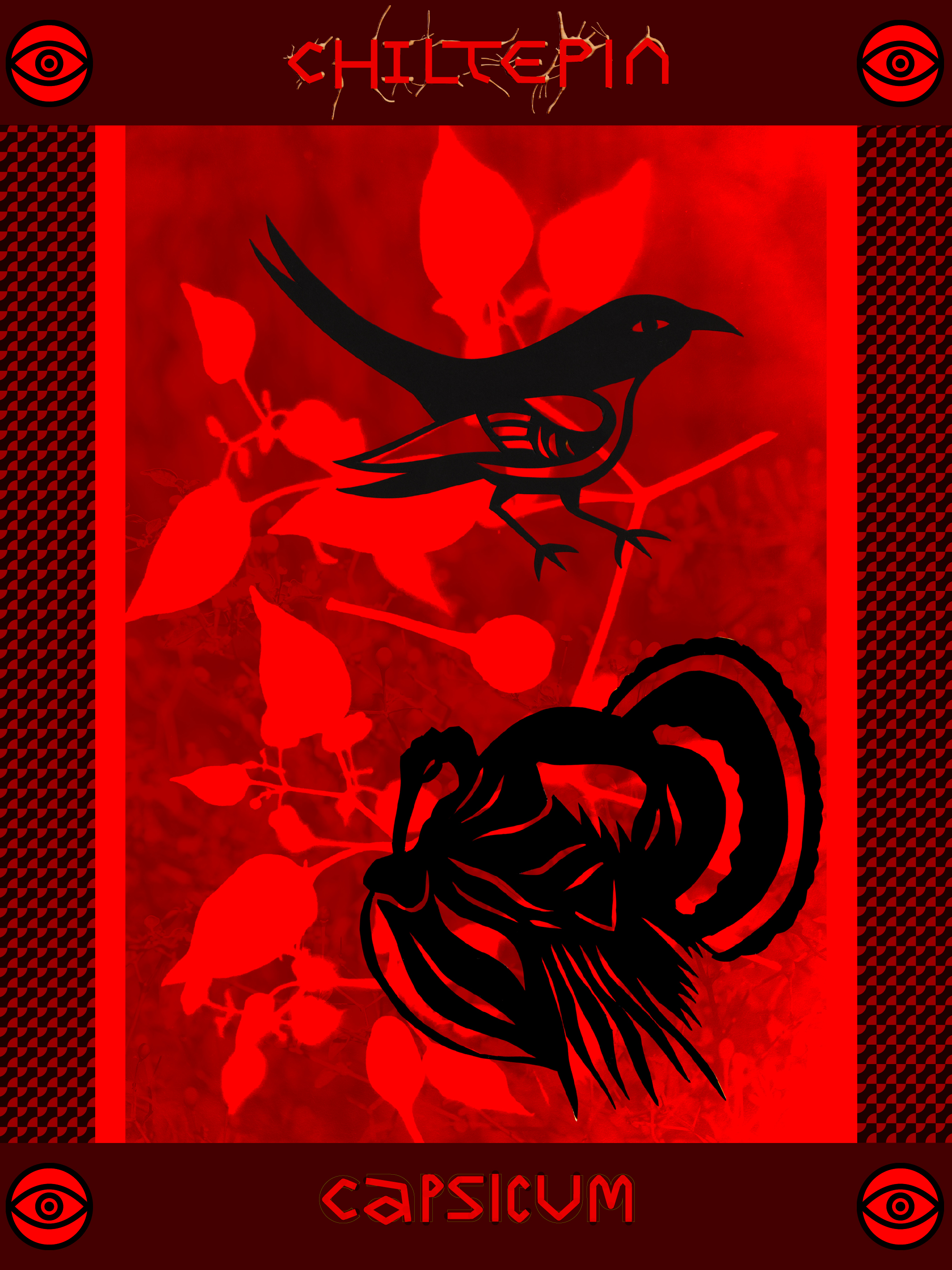 Chiltepin / Chili Pequin - Side B