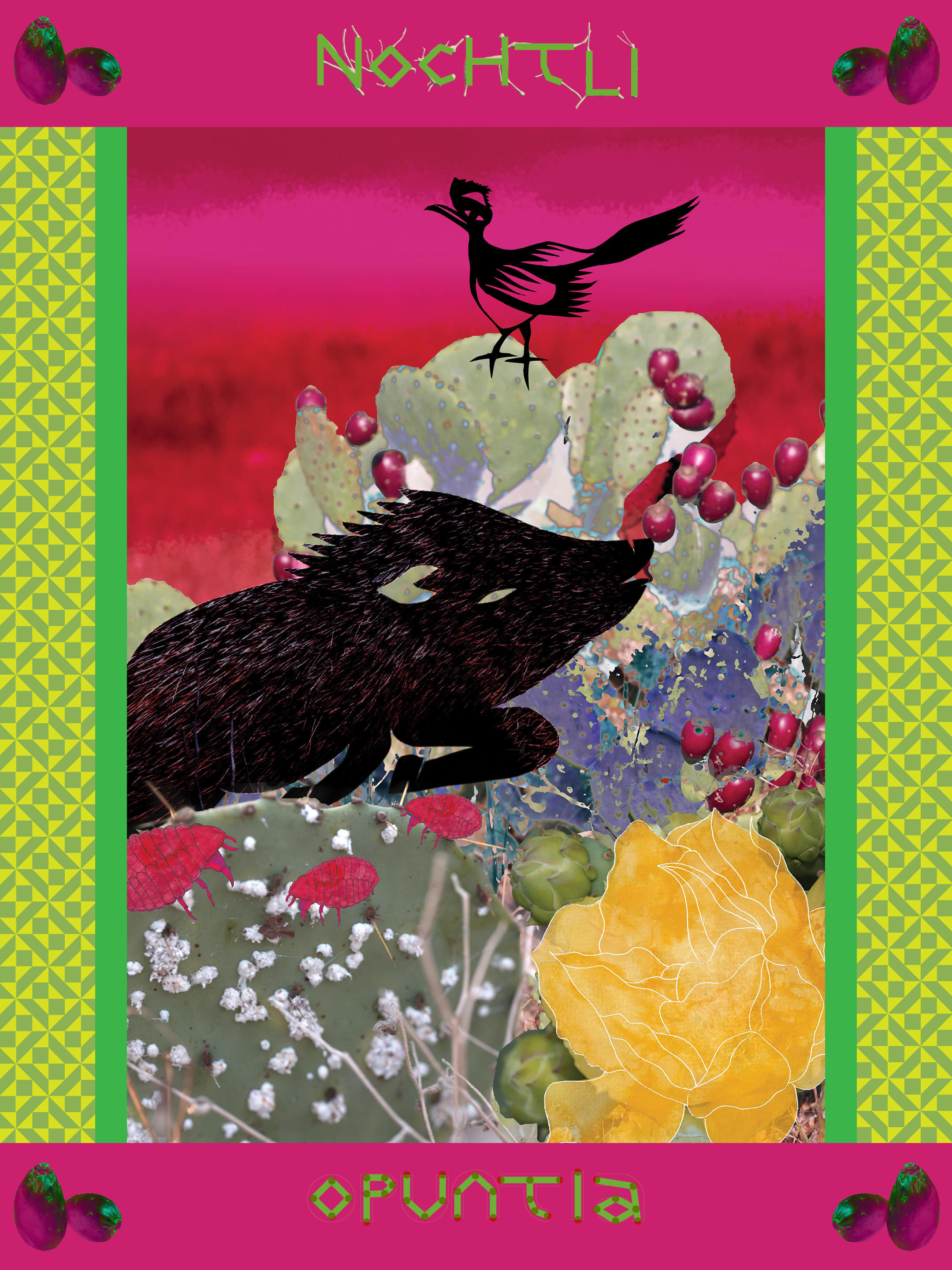 Nochtli / Prickly Pear - Side B