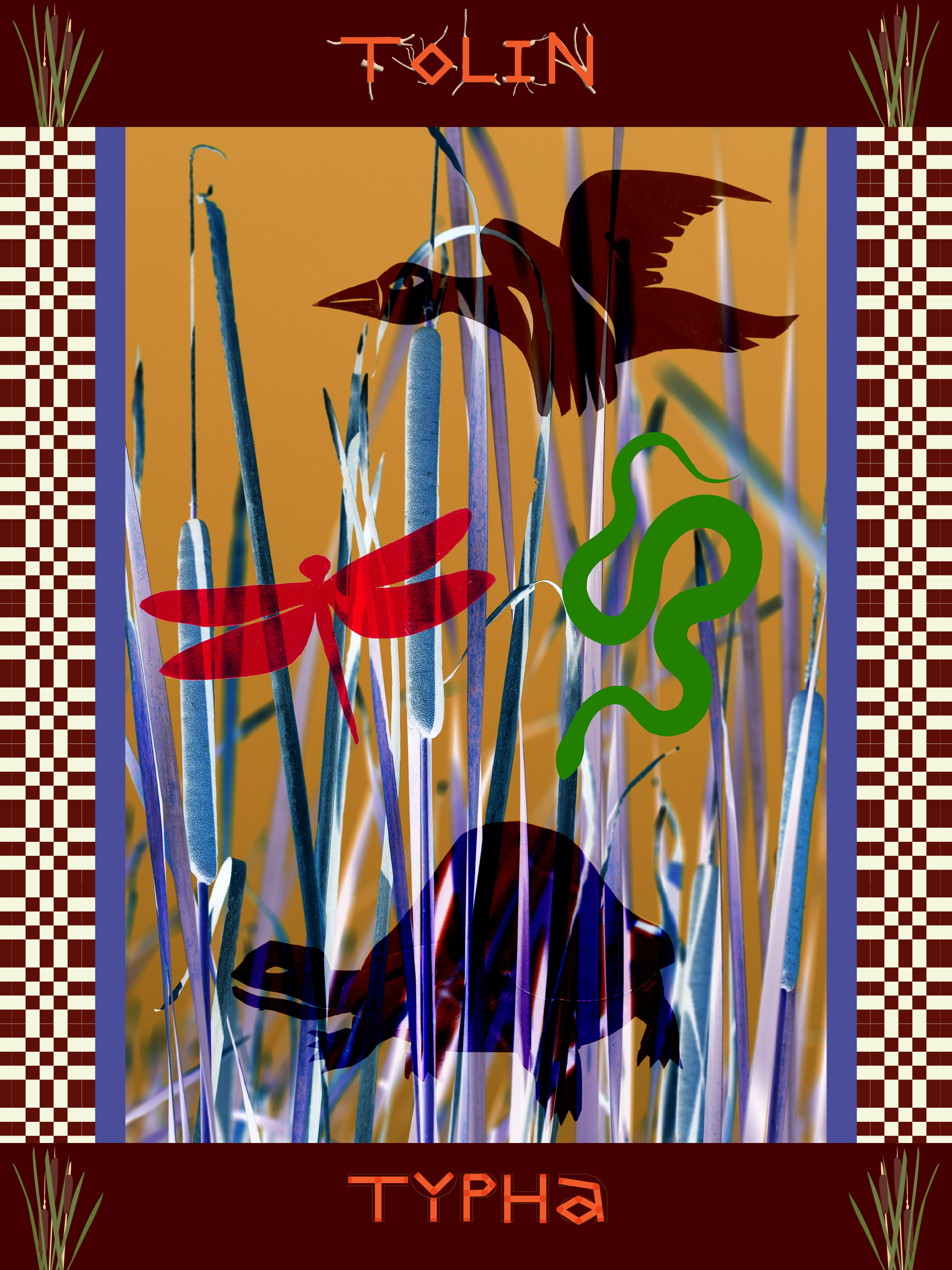 Tolin / Cattail - Side B