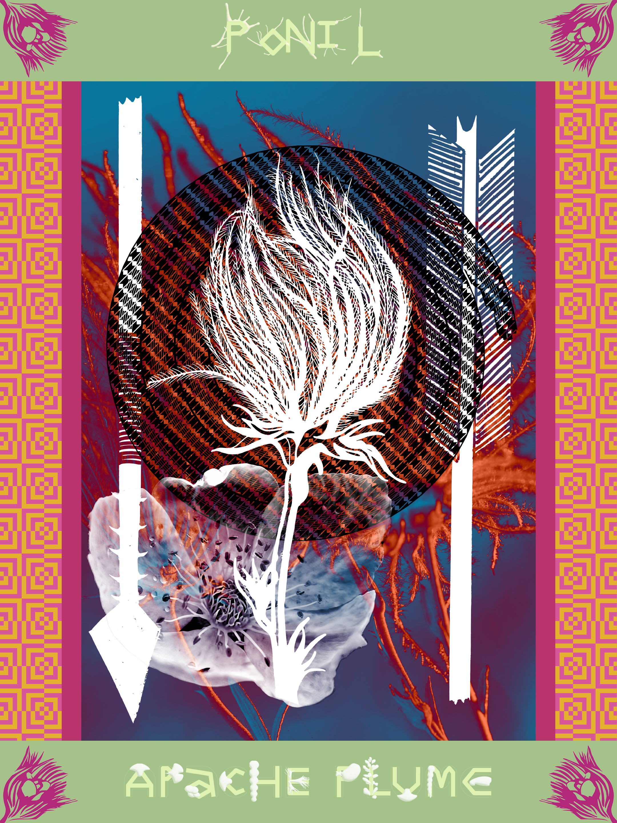 Ponil / Apache Plume