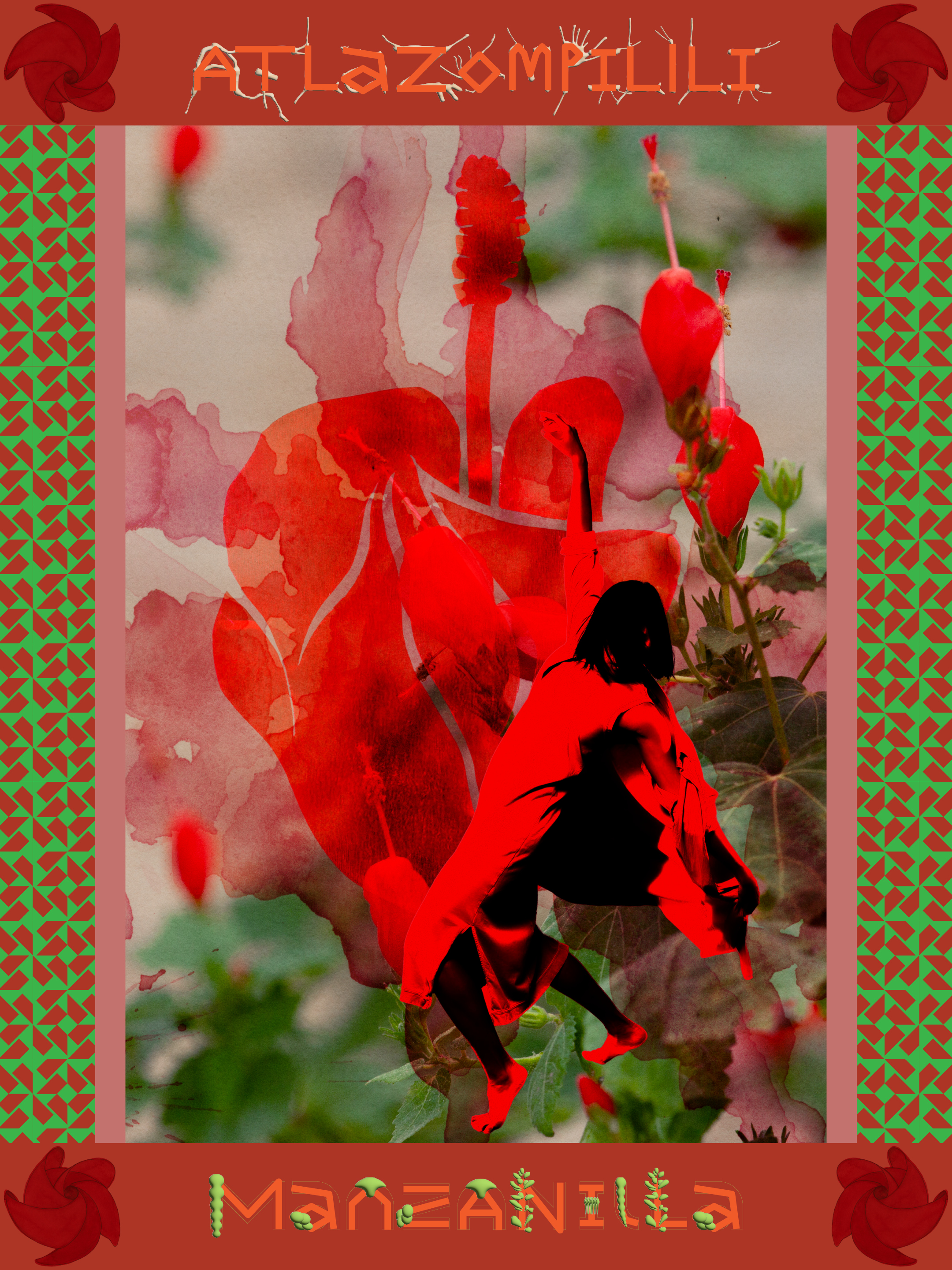 Atlazomilili / Malvaviscus