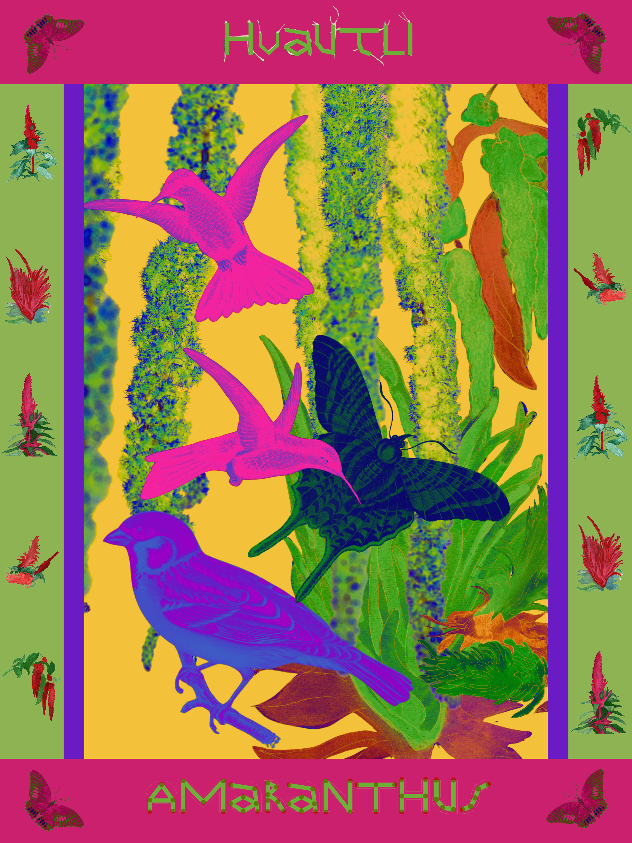 Huautli / Amaranthus